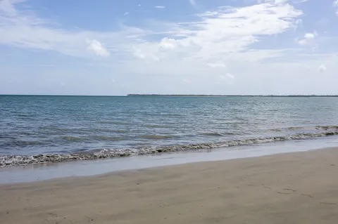 Sargazo — MICHES (Este)