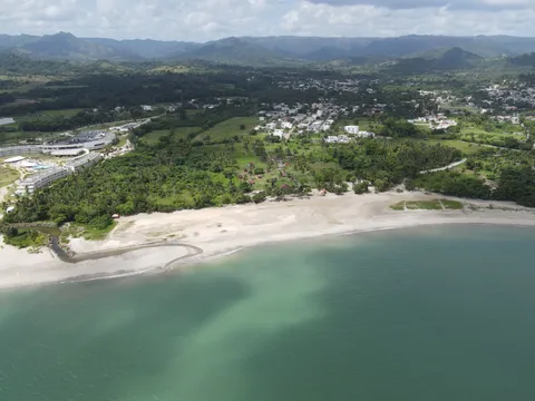 Sargazo — MICHES (Este)