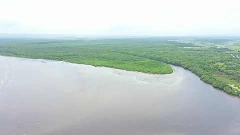 Sargazo — Samaná