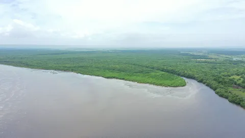 Sargazo — Samaná