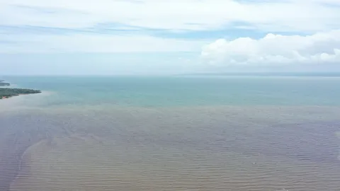 Sargazo — Samaná