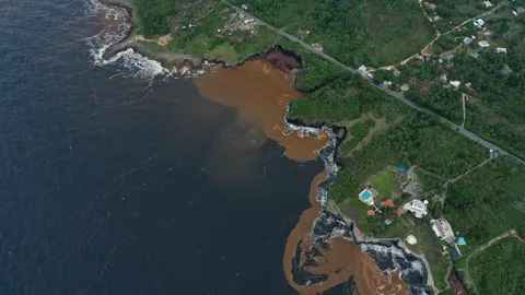Sargazo — Samaná