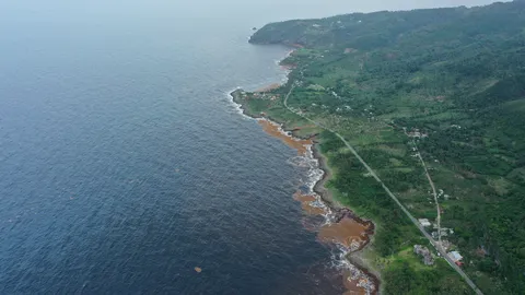 Sargazo — Samaná