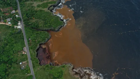 Sargazo — Samaná